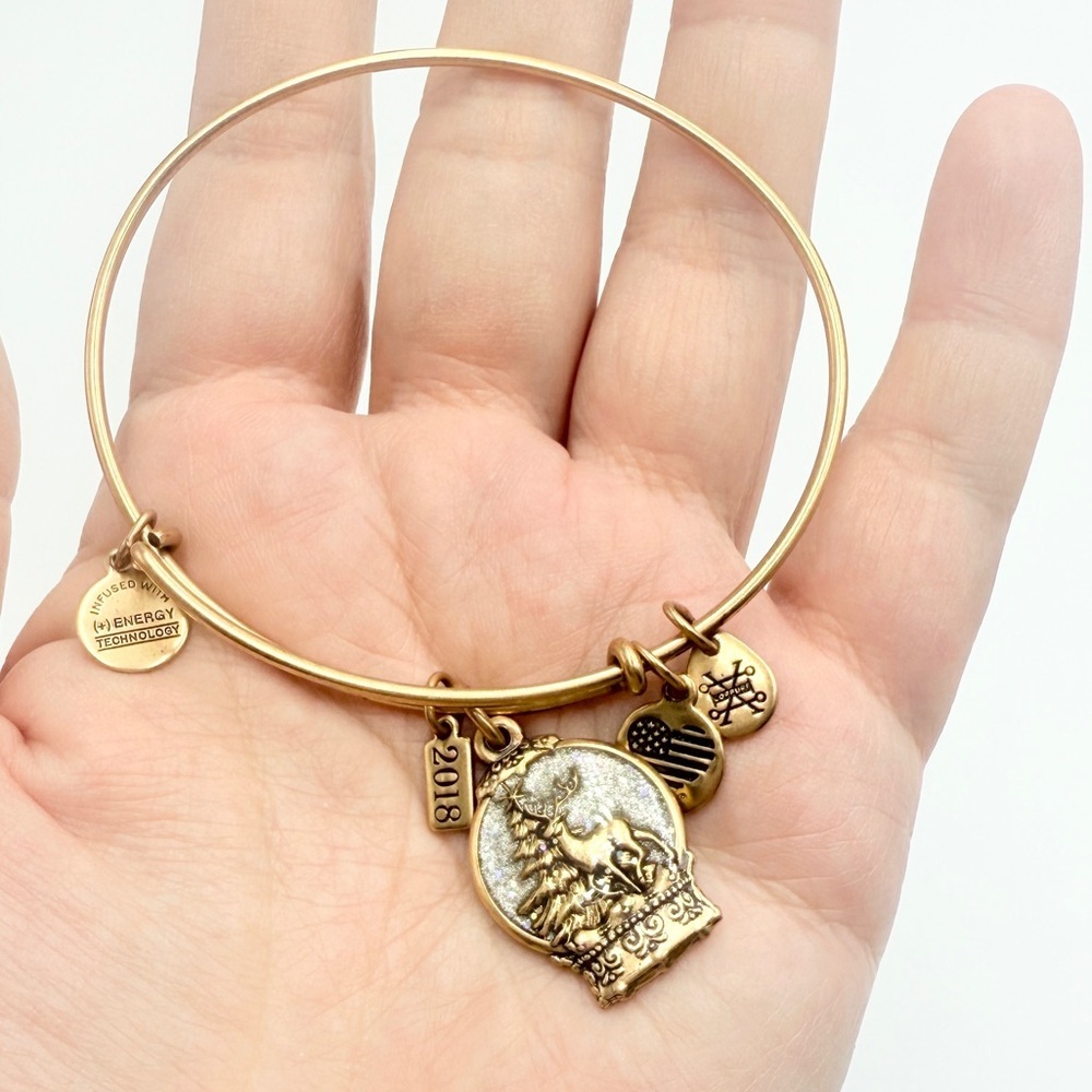 Alex and Ani 2018 Bangle Rafaelian Gold One Size